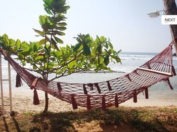 Coral गेस्ट हाउस